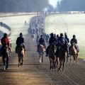 Post-race collapse prevention management