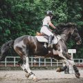 Horse riding