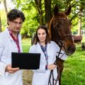 Scientist researching the impact of sex of handlers and riders