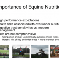 Webinar - Nutrition 101