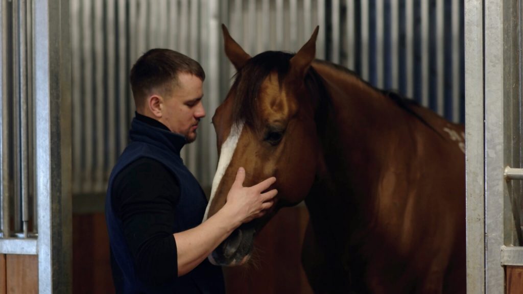 Walking horses that are tying-up