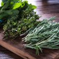 herbal supplements for horses