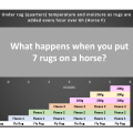 Testing rugs on a horse