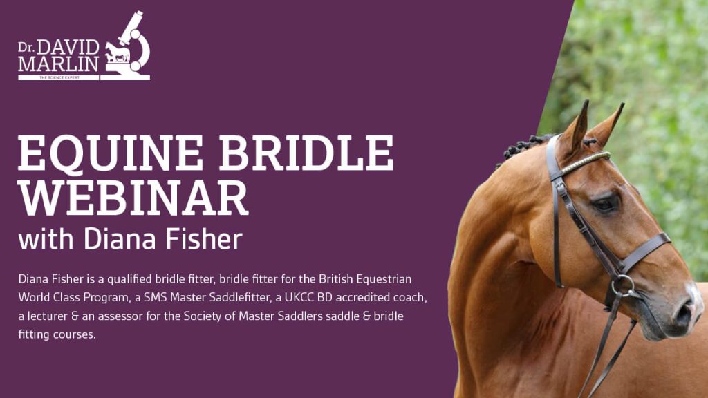 Diana Fisher Equine Bridle Webinar