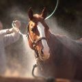Hosing your down in hot weather