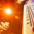 Keeping your horse cool in the heat!