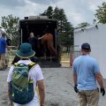 Eventers moving overnight stabling at the Tokyo 2020 Olympics