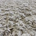Arena surface made of sand, polyester textiles & polyester fibres at the Tokyo 2020 Olympics
