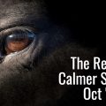 Calmer Results Survey October 2021