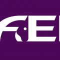 FEI Logo