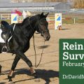 Horse Rein Safety Survey