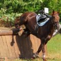 Rider falling from horse