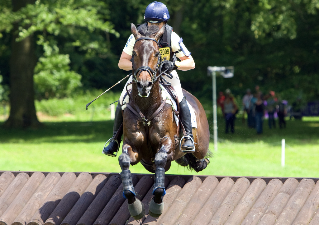 Animalweb team up with British Eventing for latest cross-country research